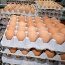 국립농산물품질관리원양평출장소 이미지