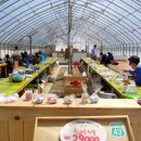 스케치피자 이미지