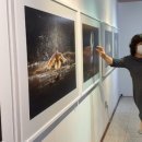 우포따오기 사진전 이미지