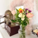 정아네 | 꽃구독서비스 정아네식탁 생화 꽃배달 받아본 후기