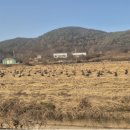 김해농장2 이미지