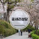 공세리성지성당 박물관 | 아산 조용한 벚꽃 성지 공세리성당에서 4월 봄 산책