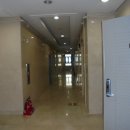 둔산중로-3 이미지