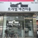 트레벨애견미용 이미지