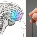 소뇌위축증 원인, 초기 증상부터 최신 치료 및 생활 관리법까지 이미지