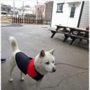 스마일펜션 | 3사단펜션 최적의 위치에서 편안함을 만끽한 스마일 펜션 후기