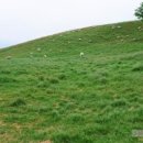 리안목장 이미지