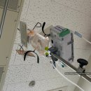 전남대학교병원2동 | [일란성 쌍둥이 32주차1] 전남대학병원 산부인과 입원후기(쌍태아수혈증후군, 고위험산모실)