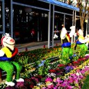 생활꽃꽂이(야간) 이미지