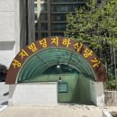 떡치푸드 | 여의도 한강공원 치킨 대신? 청년분식 마포점 떡볶이 치킨 세트 포장 꿀팁