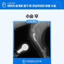 신창동물병원 이미지