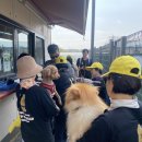 장자호수공원(반려견놀이터) 이미지