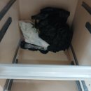 LH 아파트 1단지 앞 | 대구 현풍 입주청소 테크노폴리스LH천년나무 아파트 1단지 투룸 이사청소 후기