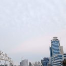 강남욱김밥