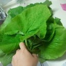 다목농장 이미지