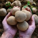 수미축산 이미지