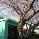 무지개초등학교 이미지