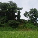 이교동일제군사시설 이미지