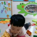색깔포도 이미지