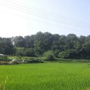 절골세천 이미지