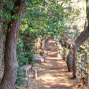 달맞이길 이미지