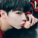 우석정 Daum카페