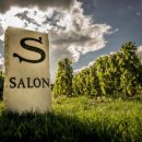 Salon S