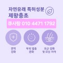 천궁헬스케어 이미지