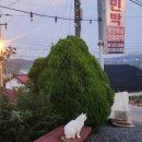 송림민박 이미지