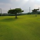 탑(스크린)골프클럽 이미지