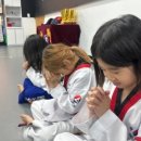 한국체대우리태권도 이미지