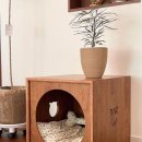 제니엔 코코 펫 이미지