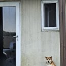 루시올 | 양평 펜션 루시올, 사장님께서 직접 커피도 내려주시고 마스코트 미자가 지키고 있는 숲캉스 계곡 인근...