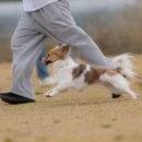 김동권 독 트레이닝센터 이미지