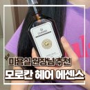영앤미헤어 | 영앤미 샤네보 뉴트리션 고농축 극손상 가벼운 헤어 에센스 오일 올바른 사용법 추천