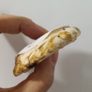 Rush(러쉬) 이미지