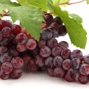 홍주유통 이미지