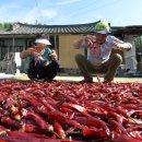 인동2리 이미지