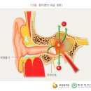 H6690 네이버블로그