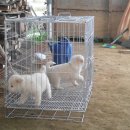 풍운농장 이미지