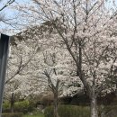 원인재역 1번출구 이미지