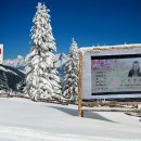 웃음치료&건강체조 이미지