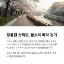 여유로운 아침의 클래식 산책 이미지