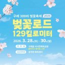 벚꽃 - 양천구 목동동로12길 45 | 벚꽃