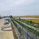 주식회사 명량 이미지