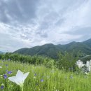 도계4리마을회관 이미지