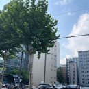 주가네떡볶이 네이버블로그