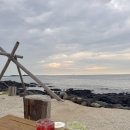 어반정글그레이밤부 | 제주 카페 어반정글 그레이밤부 & 창꼼바위 위치, 주차