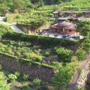 편백흙집세상 이미지