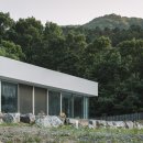 정연하다 이미지